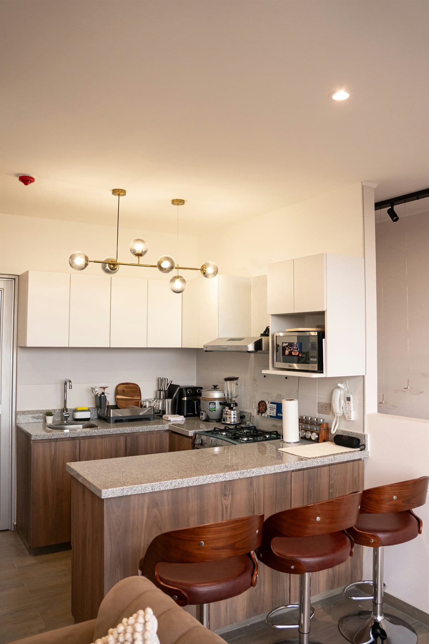 Café de barrio - proyecto hostelería en Valencia, España